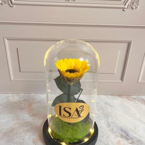 Girasol eterno